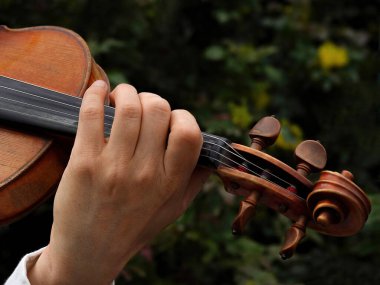 Sokak müzisyeninin el ele tutuşması ve parkta keman çalması