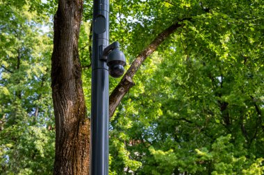 Güvenlik kamerası, yapraklı bir park ortamında uzun, siyah bir metal direğe monte edilmiş..