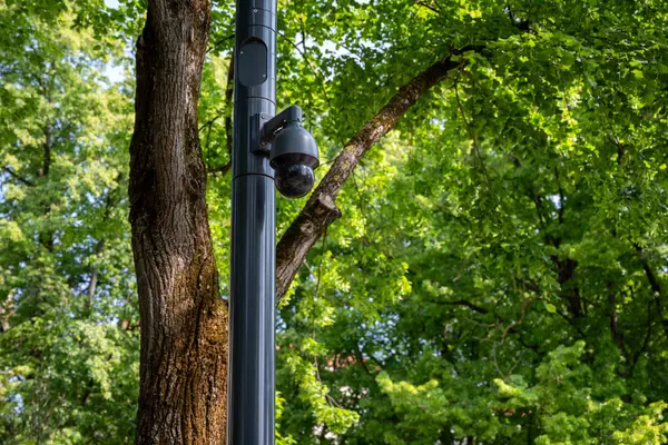 Güvenlik kamerası, yapraklı bir park ortamında uzun, siyah bir metal direğe monte edilmiş..