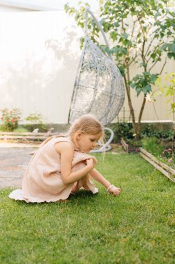 Canlı bir bahçede çömelmiş genç bir kız, neşeli bir yaz gününde, ılık güneş ışığı altında tüylü kazcıklarla nazikçe etkileşime geçiyor.