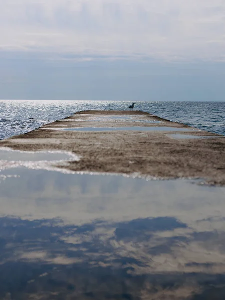Güneşli Bir Günde Deniz Kıyısında Beton Paslı Bir Demir — Stok fotoğraf