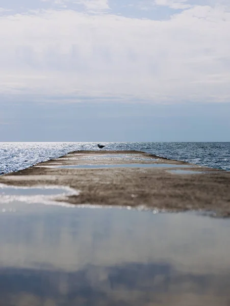 Güneşli Bir Günde Deniz Kıyısında Beton Paslı Bir Demir — Stok fotoğraf