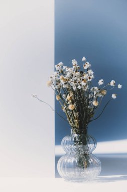 Güneş ışığında vazoda kurumuş güzel çiçekler, yaratıcı bir bakış.