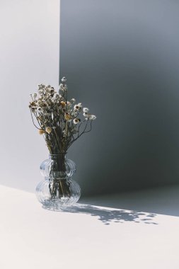 Güneş ışığında vazoda kurumuş güzel çiçekler, yaratıcı bir bakış.