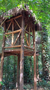 Düz çatılı tahtadan bir kalkan, bir ormanın ortasında, perdeyle korunan...