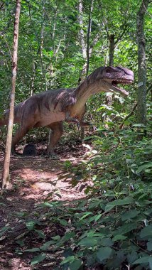 GİZLİ GİZLİ DINOSAURS PARK ORTAĞI 'nda bulundu..