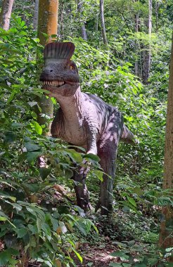 GİZLİ GİZLİ DINOSAURS PARK # 39; Ormanı 'nda bulundu..