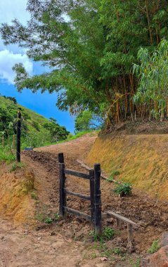 Kırsal ahşap çitlerle çevrili, parlak mavi gökyüzünün altında yemyeşil ve bambularla çevrili, kırsal kesimin dinginliğini yansıtan pitoresk bir köy yolu..