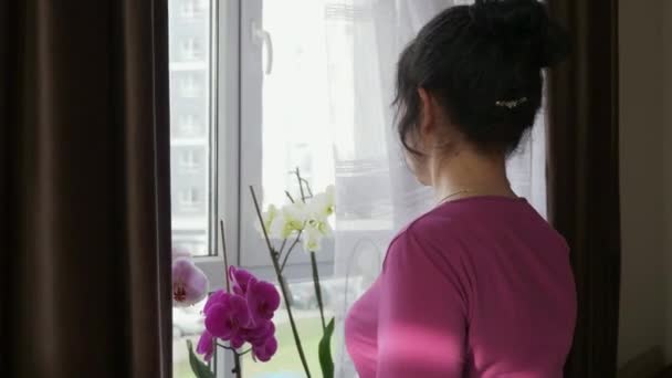 Donna Tenera Prende Cura Dei Fiori Del Orchid Che Osservano — Video Stock