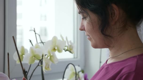 Mulher Macia Toma Cuidado Das Flores Orchid Que Olham Para — Vídeo de Stock