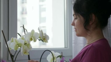 Şefkatli Kadın Pencereye Bakan Orkide Çiçekleriyle İlgilenir. Neşeli İfade Mutlu Duygular. Bayan Ev Kadını Evde Rahatlayın. 2x Yavaş çekim 60 fps 4K