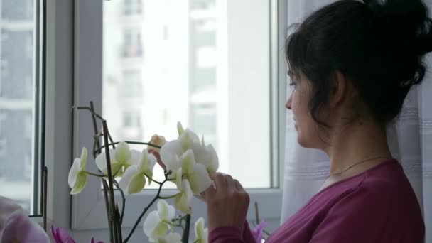 Нежная Женщина Заботится Цветах Орхидеи Глядя Окно Радостное Выражение Счастливые — стоковое видео