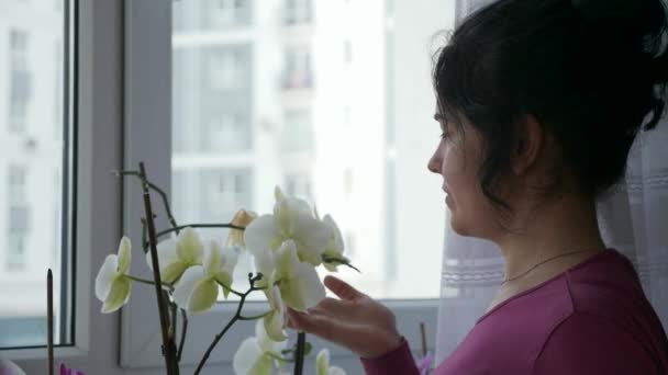 Tender Woman Tar Hand Orkidé Blommor Tittar Fönstret Glada Uttryck — Stockvideo