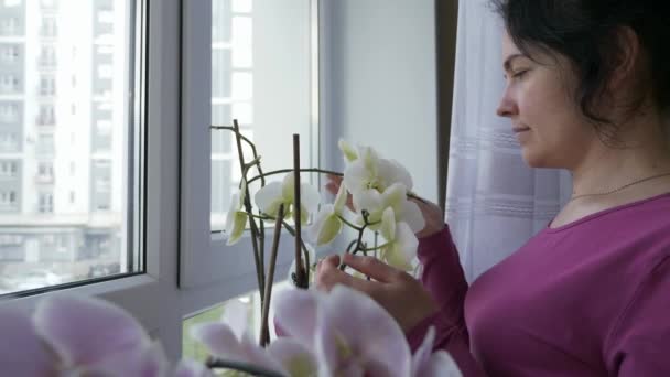 Něžná Žena Stará Orchidej Květiny Při Pohledu Okno Radostný Výraz — Stock video