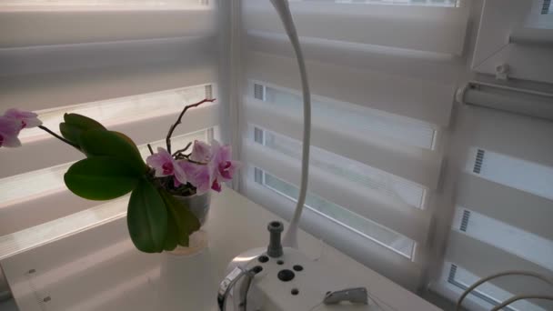 Orchidee Kwiaty Pulpicie Tabeli Pobliżu Maszyny Szycia Dom Apartamentowy Miejska — Wideo stockowe