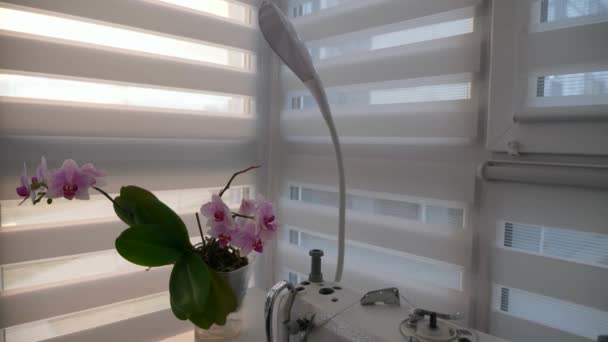 Fiori Del Orchid Sulla Macchina Cucire Vicina Tavolo Desktop Appartamento — Video Stock