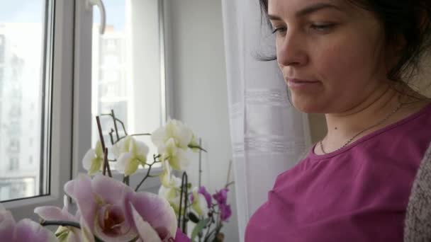 Şefkatli Kadın Pencereye Bakan Orkide Çiçekleriyle Lgilenir Neşeli Fade Mutlu — Stok video