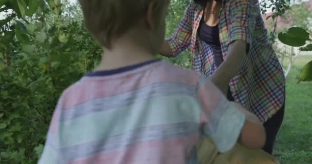 Mãe Criança Reúnem Bagas Jardim Quintal Summer Homesteading Movimento Lento — Vídeo de Stock
