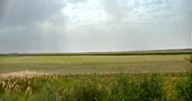 Araba Pencere Manzaralı Mısır Tarlası Tarım Ukrayna Ovaları Steppe. Kırsal Kır Sahnesi. Sezon 4, Bölüm K