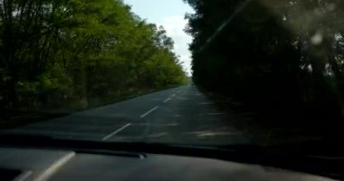 POV Orman Ormanından Araba Geçiriyor. Ön cam gösterge paneli. Kırsal Ülke Yolu 4K