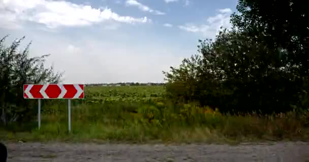 Car Window View Slunečnicové Pole Zemědělství Ukrajina Plains Steppe Venkovská — Stock video