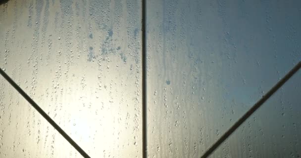 Kondenzáció Ablakpáratartalomra Fürdőszobában Vízcseppek Vizes Üvegen Reggel Sunny Day Sunshine — Stock videók