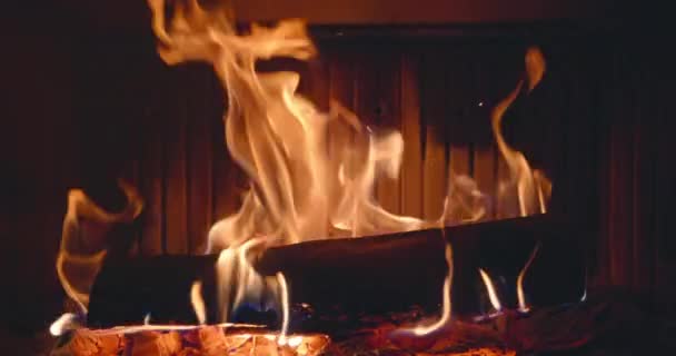 暖炉で燃える火の木を閉じる 炎の舌 — ストック動画