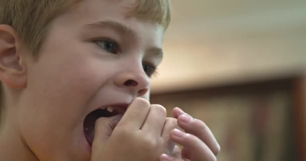 Kid Boy Shows Wobbly Loose Milk Baby Tooth Child Wobbling — Stock Video
