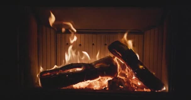 暖炉で燃える火の木を閉じる 炎の舌 赤熱を灰にします 10ビット — ストック動画