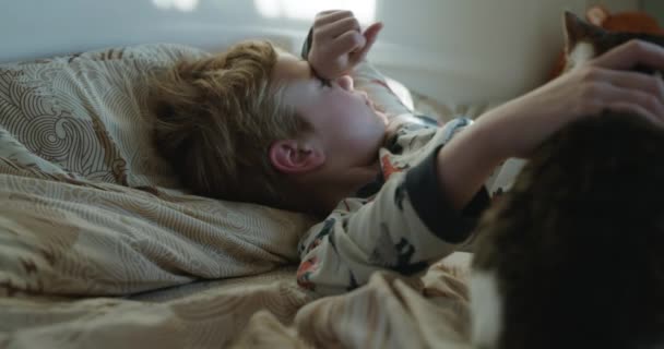 Kid Boy Strokes Cat Cute Child Wake Bed Bedroom Morning — Stock Video