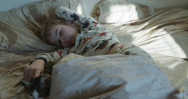 Kid Boy Strokes Cat Söta Barn Vaknar Upp Sängen Sovrummet — Stockvideo