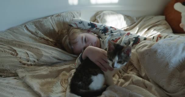 Kid Boy Strokes Cat Cute Child Wake Bed Bedroom Bom — Vídeo de Stock