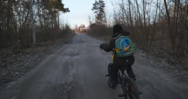 Kid Boy Ride Bike Auf Ländlichen Feldweg Kind Genießt Natur — Stockvideo