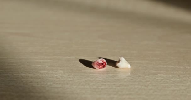 Detailní Záběr Vytrhl Dětský Zub Krví Ztracené Mléčné Zuby Ležící — Stock video