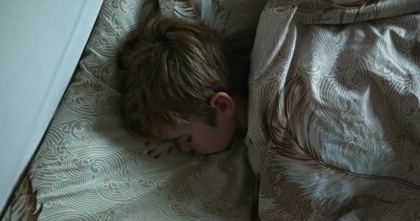 Miúdo Dorme Paz Cama Rapaz Dormir Noite Descanso Manhã Infantil — Vídeo de Stock