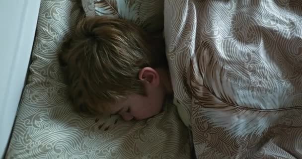 Niño Duerme Tranquilamente Cama Niño Durmiendo Noche Descanso Matutino Infantil — Vídeos de Stock