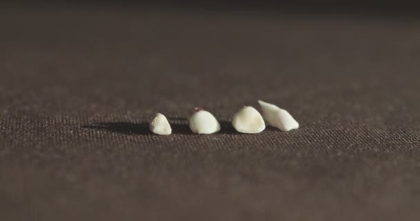 Крупным Планом Вырвал Молочный Зуб Кровью Потерянные Молочные Зубы Лежат — стоковое видео