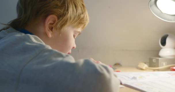 孩子在家里学习 男生在课桌前做家庭作业 10位 — 图库视频影像