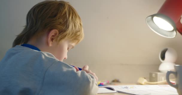 Kid Boy Estudo Casa Estudante Fazendo Lição Casa Sentado Mesa — Vídeo de Stock