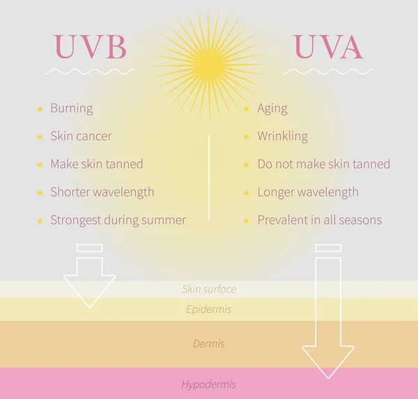 Uvb Und Uva Strahlen Unterscheiden Sich Inforgaphics Über Sonnenstrahlen Typen — Stockvektor