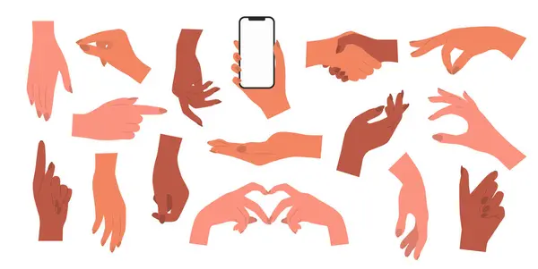 Conjunto Vetorial Desenhado Mão Mãos Humanas Mãos Femininas Segurando Telefone Gráficos De Vetores