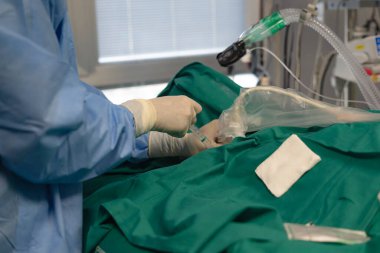 Cerrah steril bir ameliyathanede ameliyat sırasında şırınga enjekte ediyor.