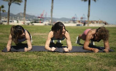 Üç kadın dışarıda egzersiz yapıyor, çimenli bir parkta spor paspasları üzerinde tahta egzersizleri yapıyorlar.