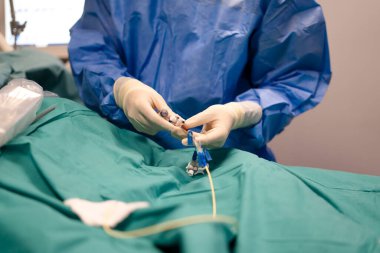 Steril eldiven takan cerrah tıbbi bir işlem sırasında damar içi kateter hazırlıyor.