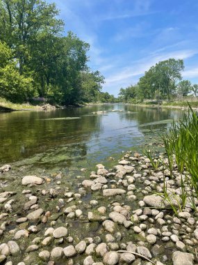 Güzel güneşli bir günde kayalık araziden bir nehrin manzarası