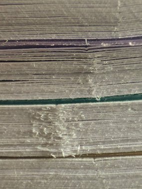 Çizgiler hamura ve gölgeye kazınmıştı. Mor ve yeşil düşünceler dünyaya hükmediyordu. Öğrenme alanında mikroskobik bir yolculuk..