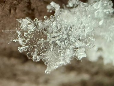 Delicate crystal arms spiral outward in organized chaos, each branch adorned with wispy ice filaments dancing against a dreamy, bokeh background. clipart