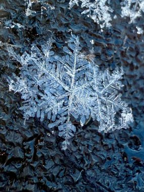 Nature's crystalline masterpiece sprawls against obsidian ice, each intricate branch telling stories of its journey through winter's atmosphere. clipart