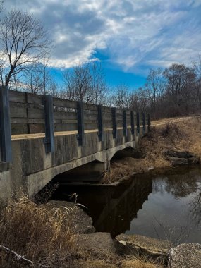 Tahta köprü, çıplak ağaçlar ve gerçeküstü gökyüzü ile çerçevelenmiş karanlık suları kaplar. Doğanın gizemli sükunetinin rüya gibi bir sahnesi..