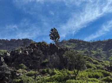 Engebeli kayalardan yükselen yalnız bir ağaç, uzak bir dağ kanyonundaki dayanıklılığı ve doğal güzelliği sembolize eden canlı mavi bir gökyüzünün altından yükselir..